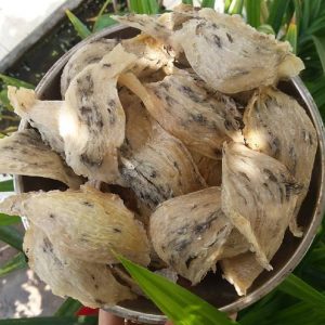 Yên sào thô cở 5A